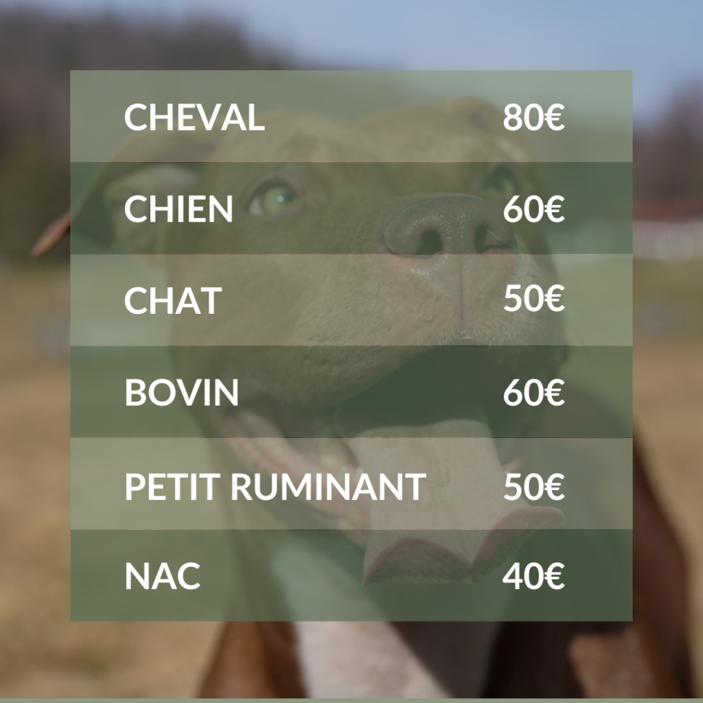 Tarif